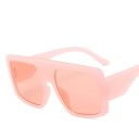 Lunettes de soleil pour femmes E1894 9