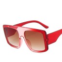 Lunettes de soleil pour femmes E1894 10