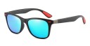 Lunettes de soleil pour hommes E1918 8