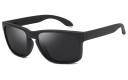 Lunettes de soleil pour hommes E1932 10