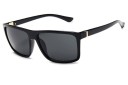Lunettes de soleil pour hommes E2000 9