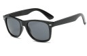 Lunettes de soleil pour hommes E2027 2