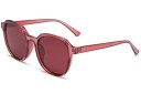 Lunettes de soleil pour hommes E2040 6