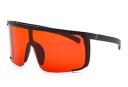 Lunettes de soleil pour hommes E2041 9
