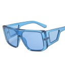 Lunettes de soleil pour hommes E2047 8