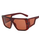 Lunettes de soleil pour hommes E2047 10