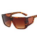 Lunettes de soleil pour hommes E2047 11