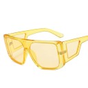 Lunettes de soleil pour hommes E2047 12