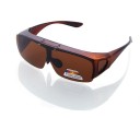 Lunettes de soleil pour hommes E2063 7