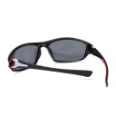Lunettes de soleil pour hommes E2096 2