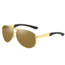 Lunettes de soleil pour hommes E2108 4