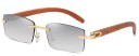 Lunettes de soleil pour hommes E2140 5