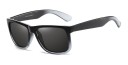 Lunettes de soleil pour hommes E2147 4
