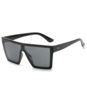 Lunettes de soleil pour hommes E2165 1