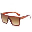 Lunettes de soleil pour hommes E2165 3