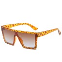 Lunettes de soleil pour hommes E2165 4