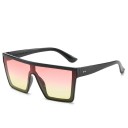 Lunettes de soleil pour hommes E2165 6