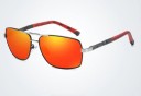 Lunettes de soleil pour hommes E2169 8