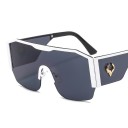 Lunettes de soleil pour hommes E2174 4