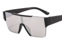 Lunettes de soleil pour hommes E2176 4