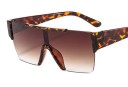 Lunettes de soleil pour hommes E2176 6