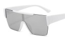 Lunettes de soleil pour hommes E2176 9