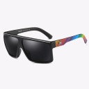 Lunettes de soleil pour hommes E2192 9