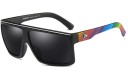 Lunettes de soleil pour hommes E2192 2