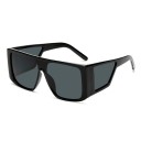 Lunettes de soleil pour hommes E2210 4