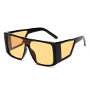 Lunettes de soleil pour hommes E2210 6