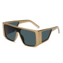 Lunettes de soleil pour hommes E2210 8