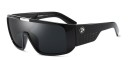 Lunettes de soleil pour hommes E2250 4