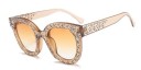 Lunettes de soleil rétro stylées pour femmes J3017 3