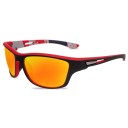 Lunettes polarisantes 2
