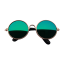 Lunettes pour chats et chiens 8 cm 17