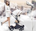 Luxury Pram 2