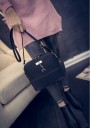 Luxury Women's Mini Handbag 2