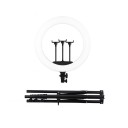 Luz LED Circular 45 cm com tripé 1