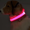 Lysande LED-halsband för hundar 11