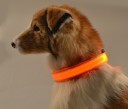 Lysende LED-halsbånd til hunde 10