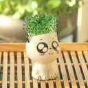 Maceta decorativa con forma de gato 6