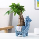 Maceta decorativa con forma de llama 1