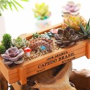 Maceta decorativa de madera 3 uds. 4