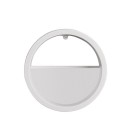 Maceta decorativa para pared 6