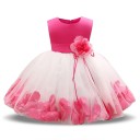 Mädchenkleid mit Rosen J2496 3