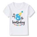 Maglietta di compleanno per bambini 16
