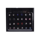 Magneettiset nappikorvakorut 12 paria 6