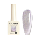 Magnetic Effect Nail Gel 9 ml UV/LED Cat Eye Without HEMA Quick Curing Lasting 3–4 Weeks For Salon and Home 6