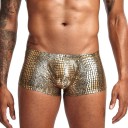 Maillots de bain brillants pour hommes 2