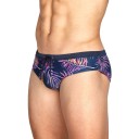 Maillots de bain pour hommes A3101 1